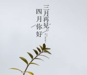 搞鸡App｜社交新潮，隐私守护：实名互动，匿名风险，共筑和谐平台-3