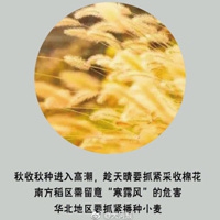 五月综合激情｜五彩狂欢盛宴，全民共绘欢乐五月-5