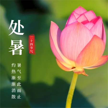 机机和机机手机免费下载版大全｜海量免费游戏任你畅玩，热门平台带你探索无限乐趣世界-5