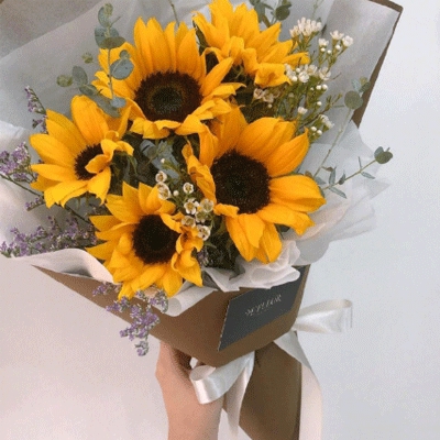 旧芭乐视频官网下载地址ios｜iOS玩家福音！旧芭乐视频全新下载地址公布，画面升级福利满满-3