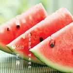 美女脱衣服App｜网络新潮争议现：互动平台，娱乐与争议共存-2