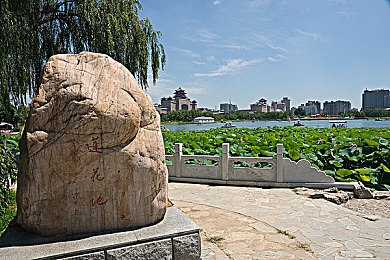 打扑克又叫又疼91软件｜揭秘“打扑克”赌博软件新动向：叫痛现象引发关注，警方严打行动展开