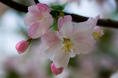 原始生存21天破解6068｜神秘代码引爆生存热潮，《原始生存21天》挑战极限引玩家破解狂欢