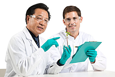 菠萝导航｜创新SEO策略，菠萝导航引领游戏网站新潮流，探索行业成功秘诀