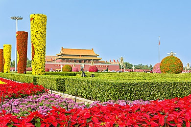 五月婷婷,六月丁香｜春花舞动，月下丁香——诗意交互，共赴游戏浪漫之旅-1