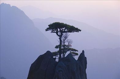 网站你应该知道我的意思｜解码用户心声，打造贴心互动之旅-2