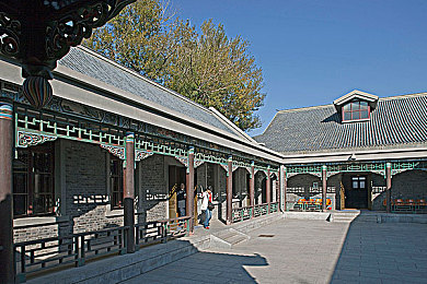 oppo十大黄色软件｜明媚冒险，解锁活力数字世界之旅-1