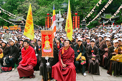 SSIS698｜探险奇境揭秘：深度解析幻域冒险游戏SSIS698攻略与评论
