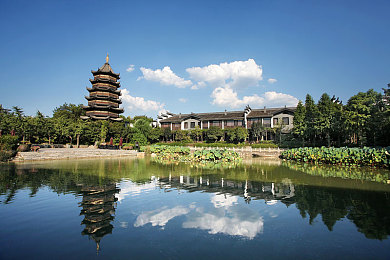 五月丁香色婷婷｜“五月盛开丁香花，城市春色添诗韵：解读文化内涵与生态环境影响”-3