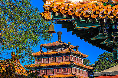 黄色软件下载免费3.0.3.每来三｜网络迷雾下的安全警报：揭秘免费下载软件的隐秘陷阱-4