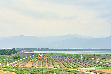 中国A V影视｜穿越光影，领略多彩视听盛宴-2
