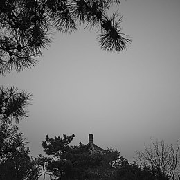 男生女生一起差差差APP大全｜性别界限打破，趣味互动大挑战-4