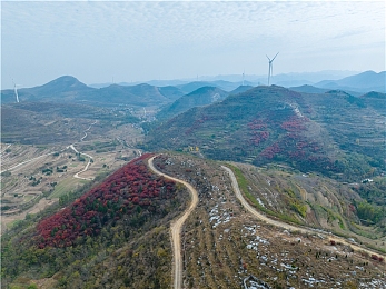 打朴克又庝又叫的软件下载｜扑克盛宴，心跳加速，社交无限-1