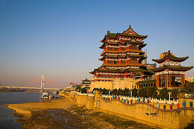 《徐若瑄天使三部曲》｜徐若瑄音乐之旅，天使旋律唤醒心灵共鸣-4