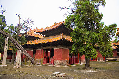 珍妮动画免费入口｜动画盛宴，畅享奇幻之旅——揭秘免费动画的奇幻乐园