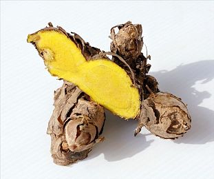 美女被操的应用｜数字幻境中的美丽邂逅：科技与审美边界的新探索-4