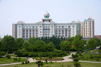 黄色软件下载oppo每天不限量｜揭秘违规应用，守护网络清朗环境，安全下载，健康游戏-2