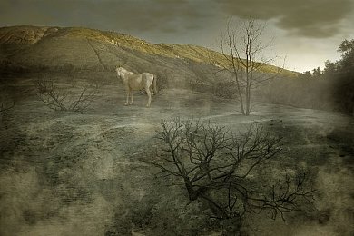 男生和女生一起搓搓的app｜暖搓互动，跨越性别，共享欢愉社交新体验