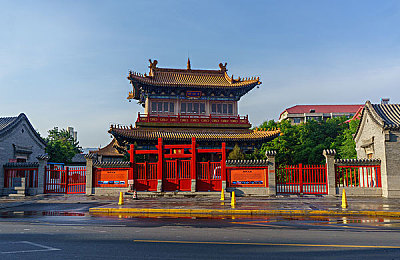 黑人巨大｜飞跃极限，探寻体育奇迹中的黑人巨擘风采-3