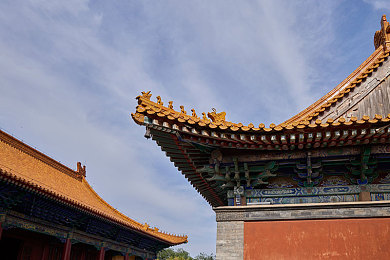 黄色aPP免费下戴-2