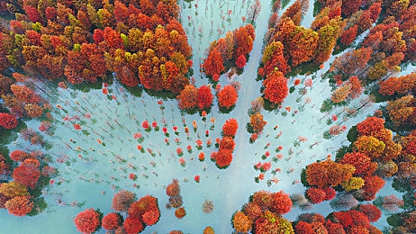 十八禁软件｜揭秘虚拟禁地：探寻成人游戏世界中的禁忌快感与理性挑战-2