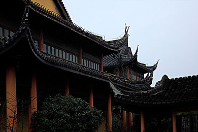 天美传媒网址免费网站大全｜游戏资讯盛宴：一站式平台“天美传媒网址大全”全新上线，畅享无广告游戏体验-2