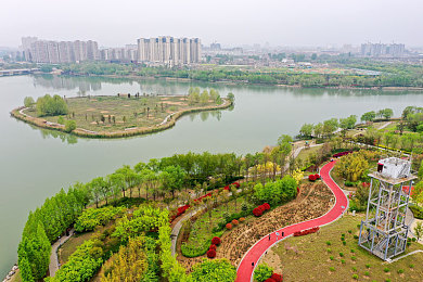 美女鸡鸡的软件｜探索视觉盛宴，互动娱乐新天地-1