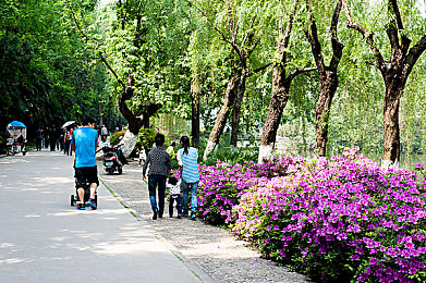 练舞边被老师揉搓花蒂｜舞影惊心，权益守护：揭秘校园舞蹈教育隐秘角落-3