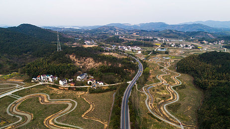 公交车上无套进内谢｜公交文明新风尚，共筑和谐出行路-3