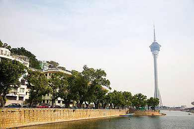 果冻传媒2021精品入口｜奇幻森林历险记，都市情感共鸣，视听盛宴等你来-2