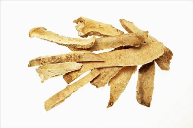 一个人看www｜网络孤独解压之旅：揭秘现代青年心理密钥-3