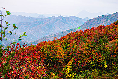 巴厘岛按摩师舔阴高潮七次｜巴厘岛秘境之旅：体验心灵洗礼，探寻按摩新境界-5