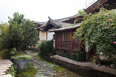 芭乐视频最老最旧的版本｜互联网初航：见证芭乐视频成长之旅-2