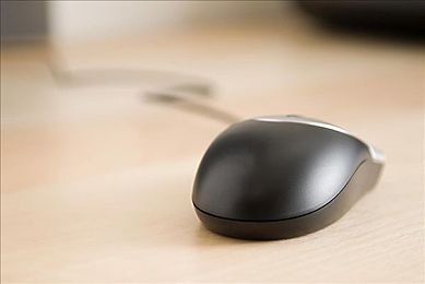 黄色片软件下载大全oppo｜揭秘暗流涌动：揭秘非法色情软件，筑牢网络安全防线