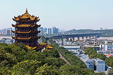 草莓视频污站长统计｜揭秘草莓视频：揭秘热点背后，揭秘观看时长惊人，内容分类多样化，用户互动活跃的真相-2