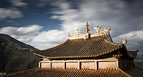 打扑克又疼又叫｜扑克激情，输赢之间，人生启示录-2
