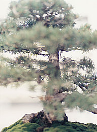 男生困困放进女生困困里｜穿越时空之恋：困困奇遇记-2