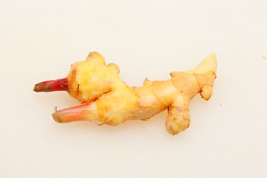 蘑菇视频｜短视频盛宴来袭：探索“蘑菇”魅力，感受精彩瞬间-4