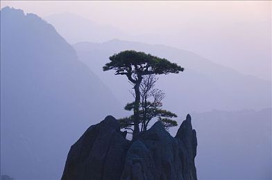 软件下载3.0.3每天三次版破解版｜自由飞翔，破解新篇章：畅享高效下载之旅-2