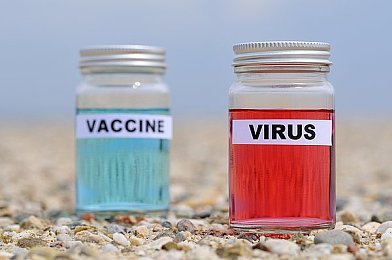 黑丝久久｜揭秘游戏魅力：探索“黑丝”文化，畅游独特时尚世界-5