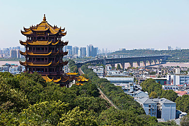 成人wwww｜教育革命新篇章：创新互动平台引领成人学习潮流，开启便捷学习新时代-2