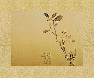 天天干天天爽天天干｜畅享日常，趣味无限：轻松闯关，释放压力之旅-3