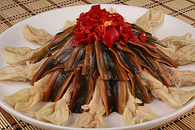 自由 管 凸轮 管西元｜机械艺术新篇章：管西元智慧铸就自由传动传奇-4