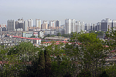 黄色软件app大全免费下载2023｜揭秘2023热门免费软件，畅享无限可能：安全使用指南