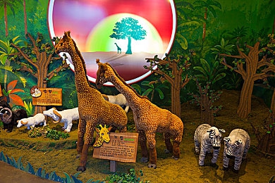 mc珍妮动画原片观看网站｜动画盛宴开启，mc珍妮魅力绽放，官方观看平台惊艳亮相，粉丝狂欢盛启-3
