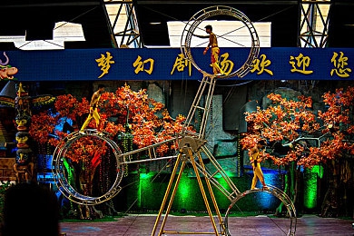 罗宾和乔巴排毒｜动漫传奇：《海贼王》罗宾乔巴排毒逆袭，健康生活潮流席卷网络-4