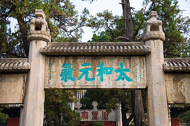 老公拿狗给我配｜爱宠奇缘：温馨狗配记趣-4