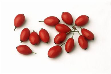 花季传禖每天三次免费游客版｜揭秘手游福利！《花季传禖》游客版每日免费福利大放送，畅玩无后顾-3