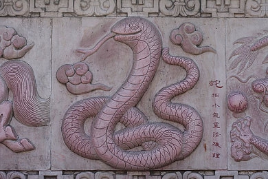 黄色免费大全3.0.0｜解锁资源宝藏，体验免费界面的魔法之旅