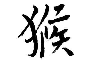 机机对机机手机免费下载大全最新版安卓手机｜应用乐园，畅享精选，安全无忧，指尖一触即达-3